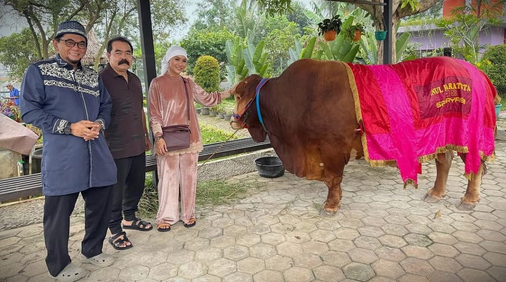 Sapi kurban Inul Daratista (Instagram/inul.d)