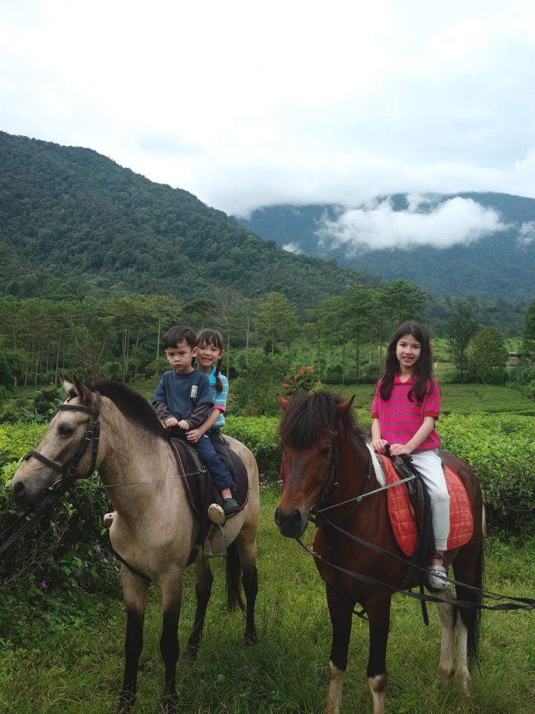 Di tengah udara sejuk dan kabut pegunungan, Yasmine dan ketiga anaknya tampak menikmati aktivitas berkuda di antara hamparan teh yang menenangkan.