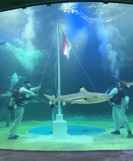 Ruben mengaku bahwa kecintaannya pada dunia selam dan keinginannya untuk memberikan kontribusi nyata bagi Indonesia menj