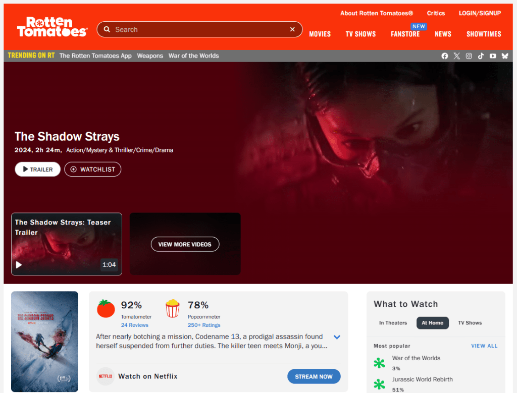 The Shadow Strays adalah film aksi thriller yang lebih kontemplatif namun tetap intens.