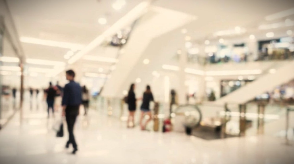 Fenomena Rojali dan Rohana (Istimewa)