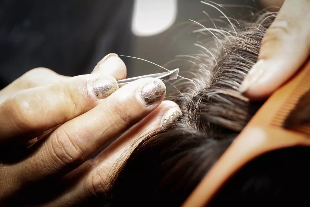 Ilustrasi mencabut uban